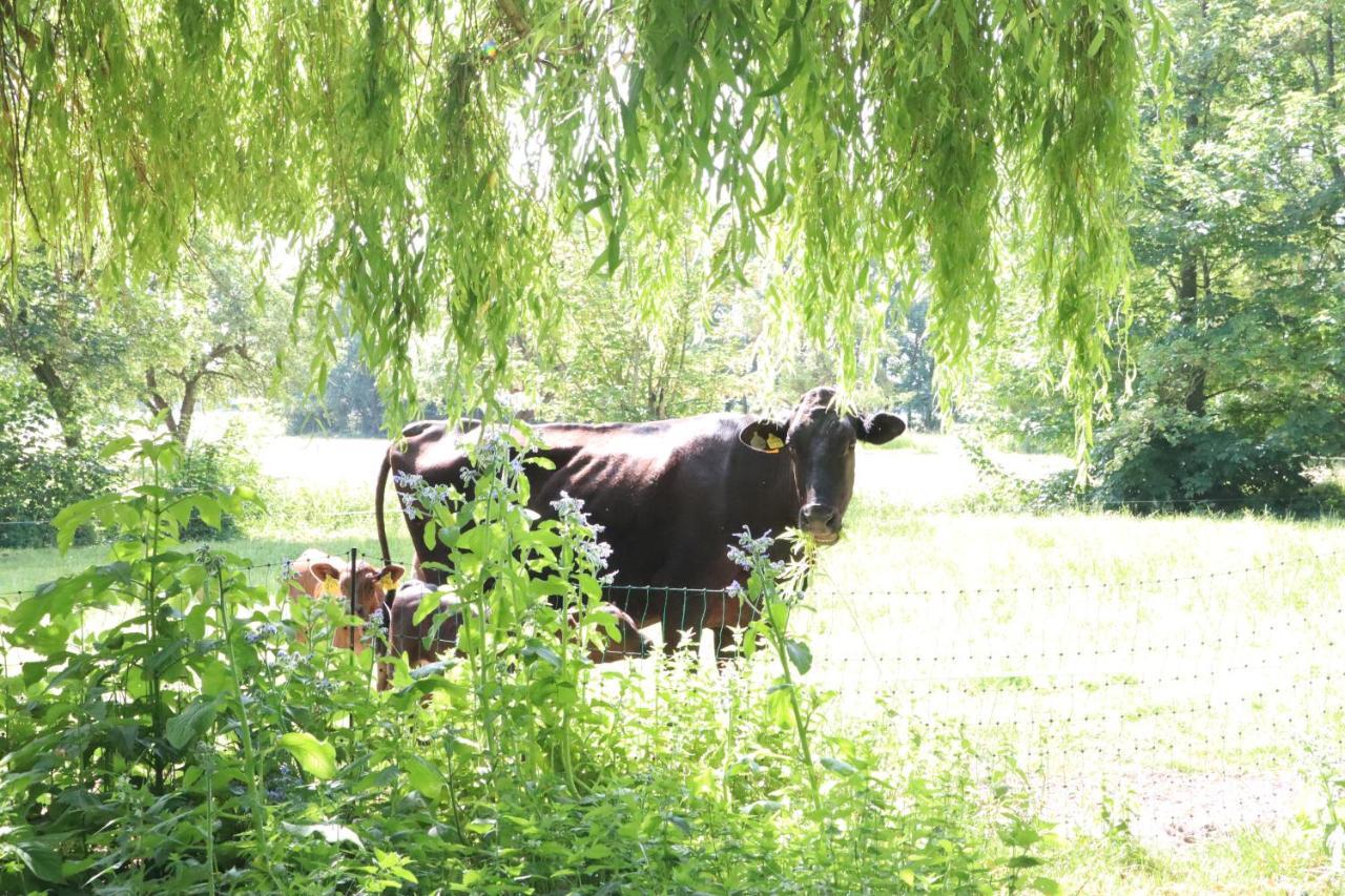 Ferienhaus Heinrichs Cappeler Niederstrich Zewnętrze zdjęcie